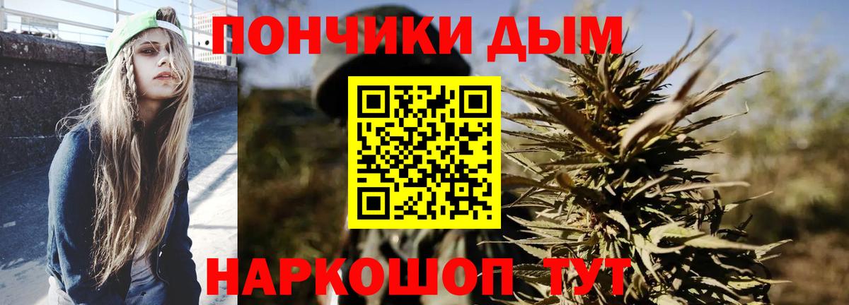 Шишки марихуана гибрид Павловский Посад
